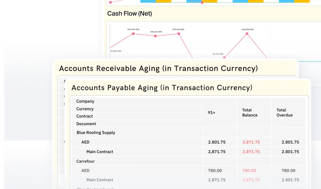 Monitor the company’s financial position