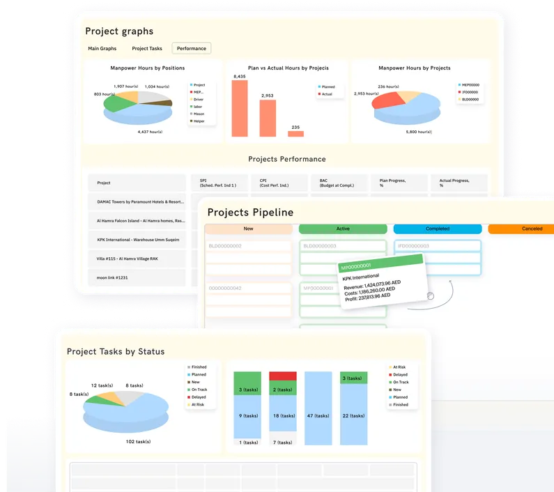 Oversee project progress and performance