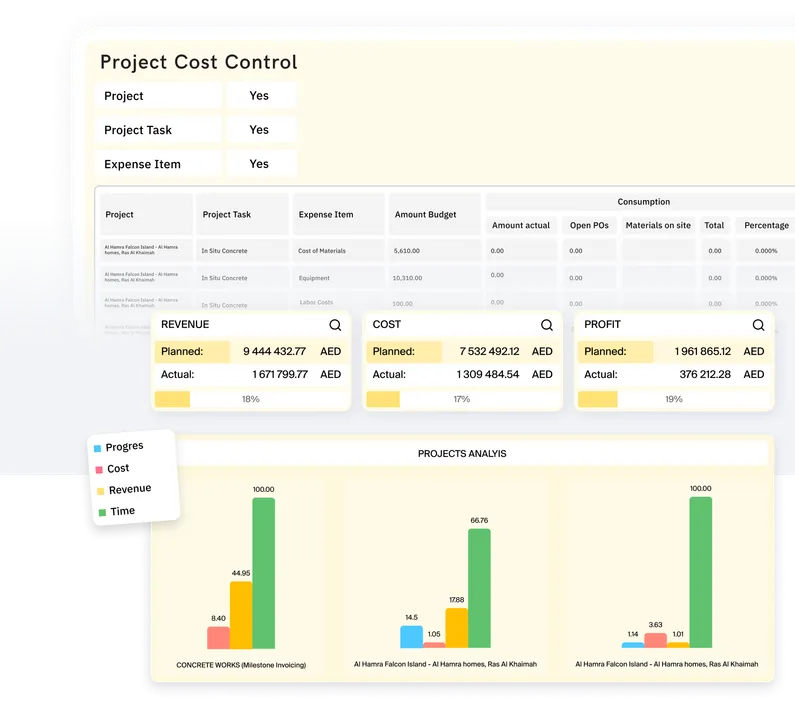 Monitor project costs and revenues